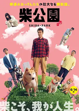 99国产精品免费观看视频